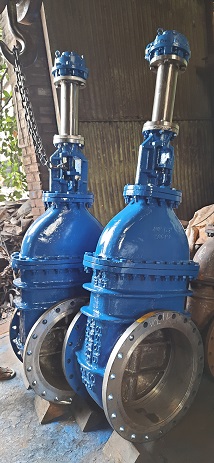 Jupiter Valves